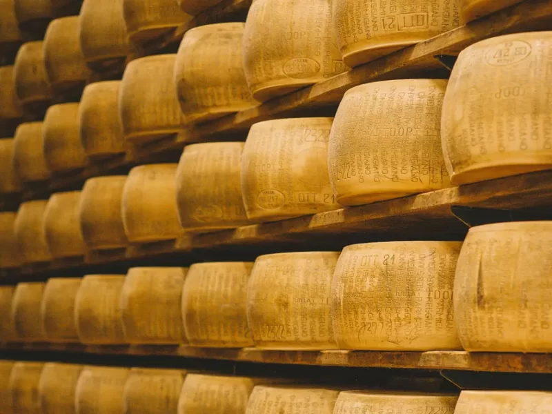 Discover the best Italian cheeses